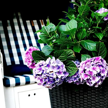 Albrechtshof Otel Kurort Gohrisch